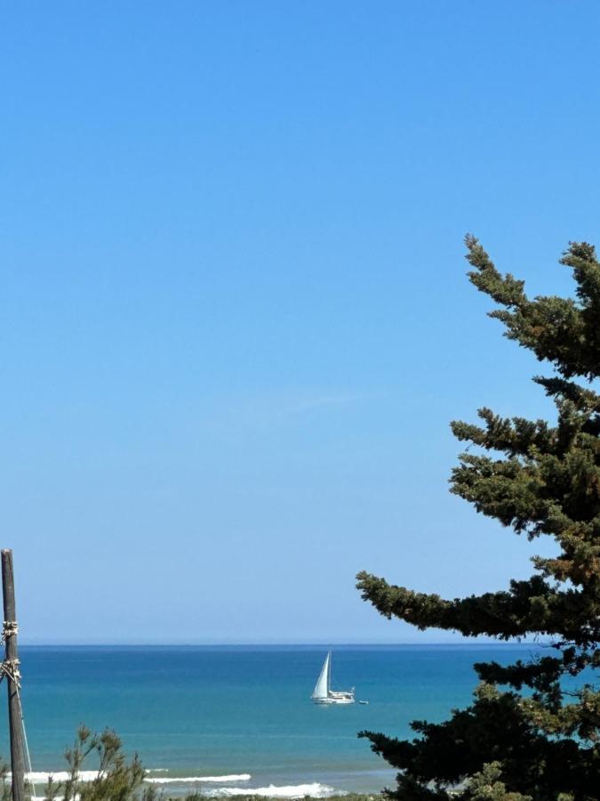 Villa Fiorenza - 100 Mt Dal Mare 카스텔라마레델골포 외부 사진